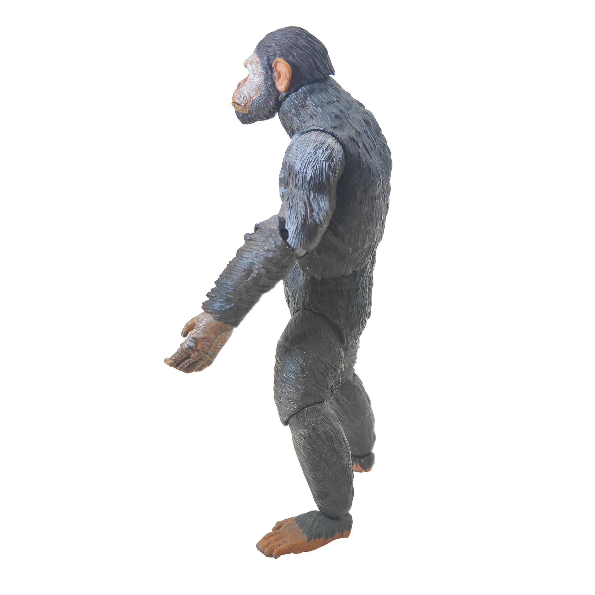 NECA Caesar Dawn Of The Planet Of The Apes Action Figure 2014 15cm – Movie Icons & Heroes, NECA, 18 cm, 2014, pre-owned collector piece, Uncanny Collectibles Dublin Ireland