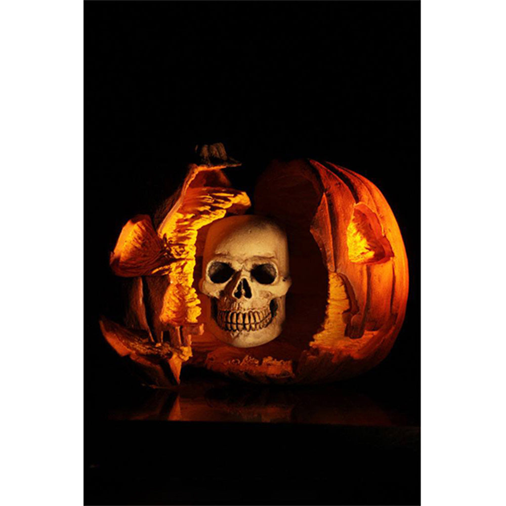 NECA Halloween II 1981 Ultimate Michael Myers Action Figure 18cm – Halloween, NECA, 18 cm, 2024, brand new collector item, Uncanny Collectibles Dublin Ireland