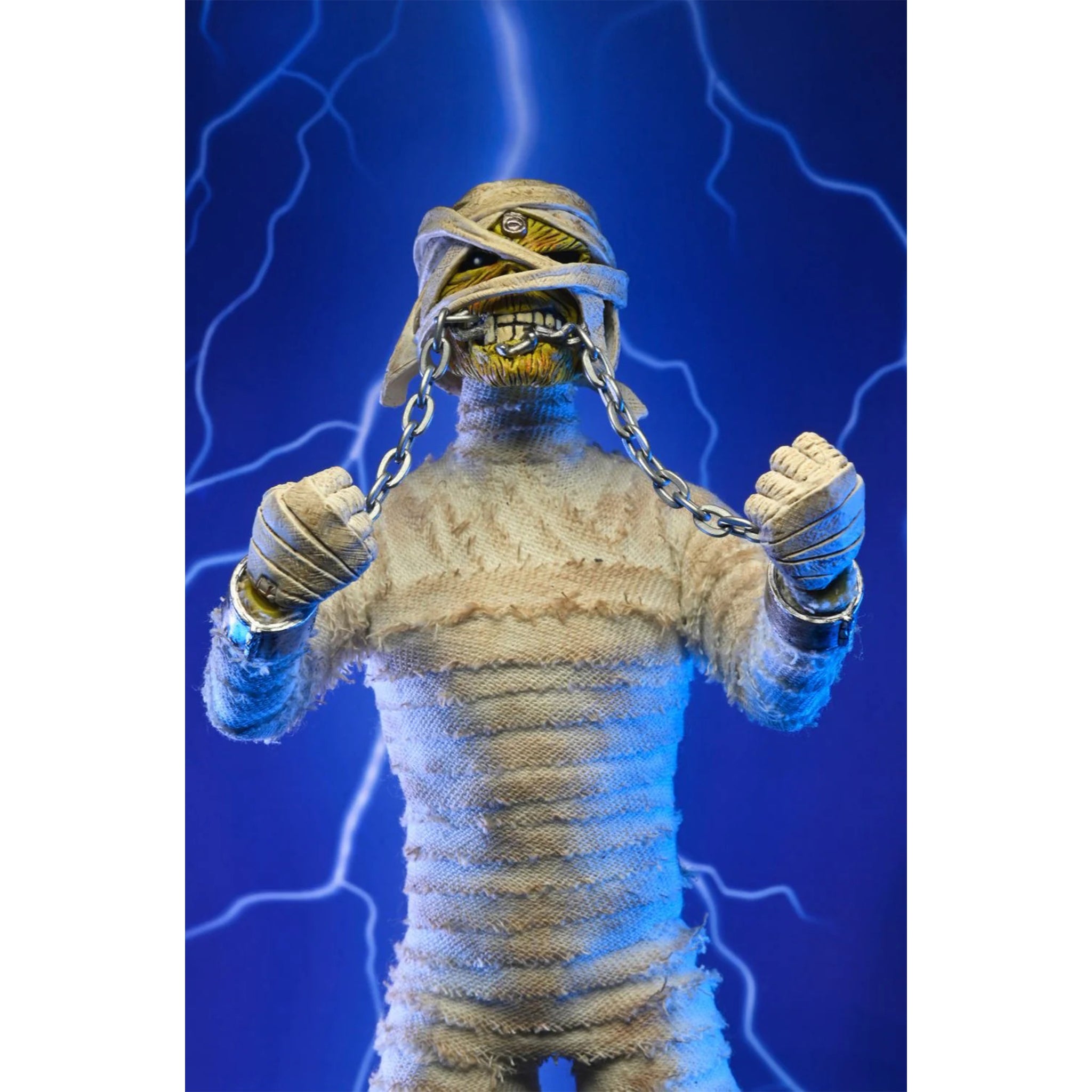 Iron Maiden Mummy Eddie Retro Cloth NECA Figure - photo 6 of 12