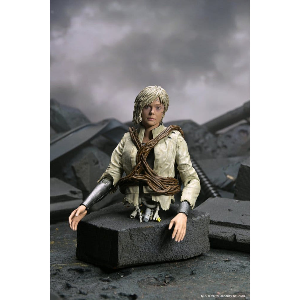 NECA Predator Badlands Ultimate Thia and Bud Action Figure 2-Pack – Predator, NECA, 18 cm, brand new collector item, Uncanny Collectibles Dublin Ireland