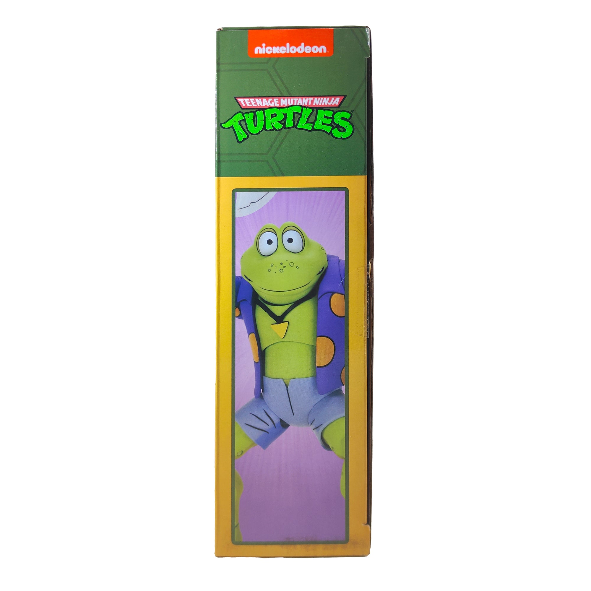 NECA Teenage Mutant Ninja Turtles Rasputin And Genghis Cartoon 2-Pack 2021 18cm