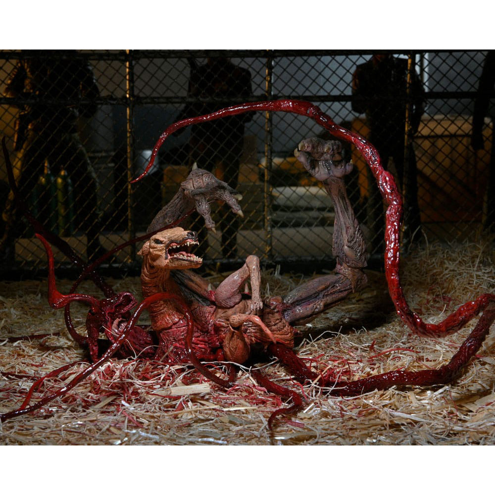 NECA The Thing Deluxe Ultimate Dog Creature Action Figure 18cm Scale – The Thing, NECA, 18 cm, 2024, brand new collector item, Uncanny Collectibles Dublin Ireland