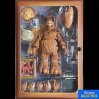NECA Ultimate Alf Action Figure 15cm – TV Icons & Heroes, NECA, 15 cm, 2023, brand new collector item, Uncanny Collectibles Dublin Ireland