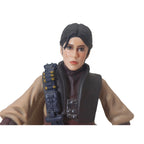 Star Wars Princess Leia Organa Boushh Black Series Hasbro Action Figure 2015
