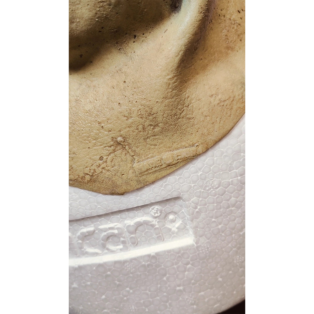 Star Wars The Phantom Menace Rune Haako Don Post Studios 1:1 Latex Mask - In Need Of Repair