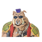 Teenage Mutant Ninja Turtles Bebop Cartoon NECA Figure