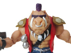 Teenage Mutant Ninja Turtles Bebop Classic Collection 1988 Playmates