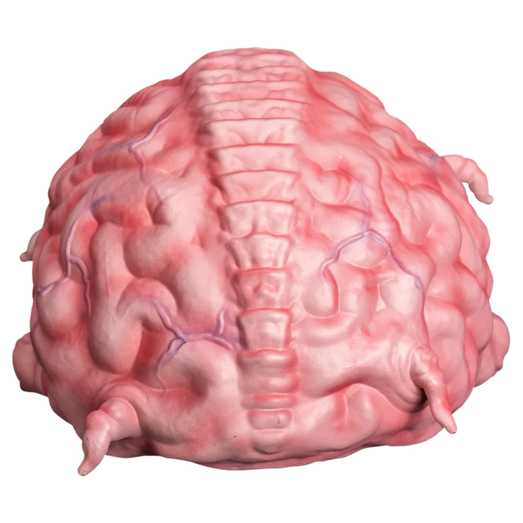 Teenage Mutant Ninja Turtles Krang 1:1 Latex Prop Trick or Treat Studios - photo 3 of 4