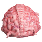 Teenage Mutant Ninja Turtles Krang 1:1 Latex Prop Trick or Treat Studios - photo 3 of 4