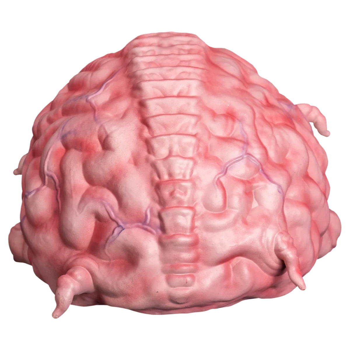 Teenage Mutant Ninja Turtles Krang 1:1 Latex Prop Trick or Treat Studios - photo 3 of 4
