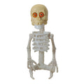 The Real Ghostbusters Bad To The Bone Ghost Kenner Action Figure 1986 – Ghostbusters, Kenner, 15 cm, 1986, pre-owned collector piece, Uncanny Collectibles Dublin Ireland