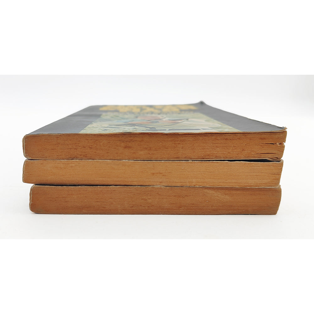 The Six Million Dollar Man Vintage Paperback Novel Bundle 1975-1976 – Six Million Dollar Man, Vintage Brands, -, 1975, pre-owned collector piece, Uncanny Collectibles Dublin Ireland