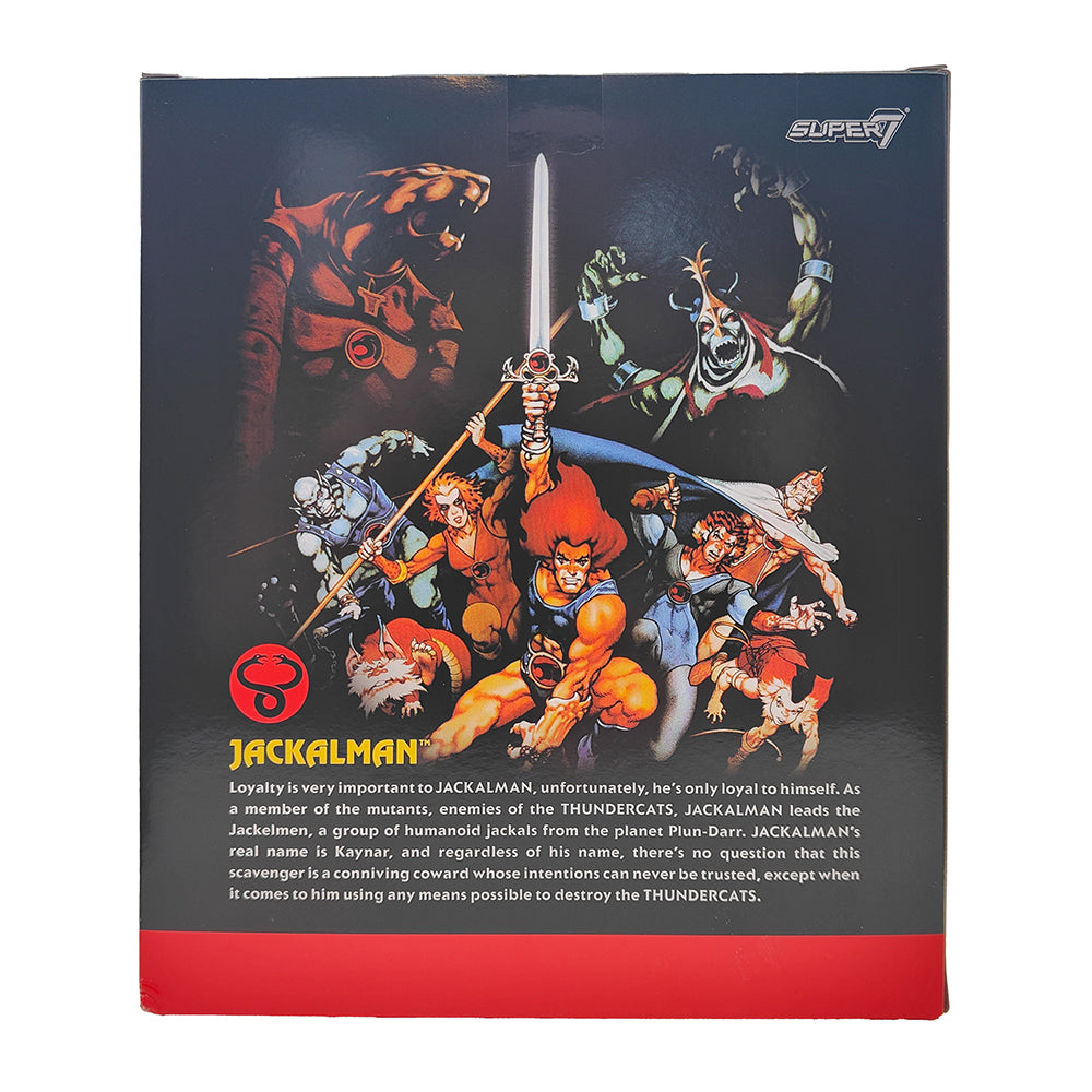 Thundercats Ultimates Jackalman 18 cm Action Figure Super7 2021 – Thundercats, Super7, 18 cm, 2021, pre-owned collector piece, Uncanny Collectibles Dublin Ireland