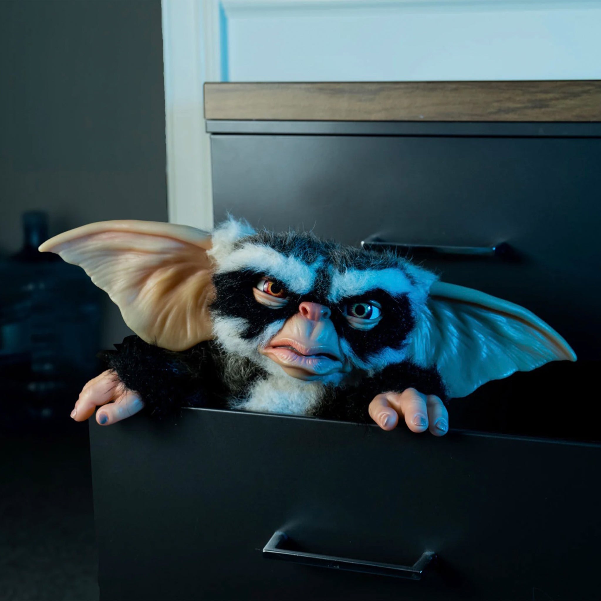 Trick or Treat Studios Gremlins 2 George Mogwai 1:1 Scale Prop Replica – Gremlins, Trick or Treat Studios, 25 cm, 2024, brand new collector item, Uncanny Collectibles Dublin Ireland