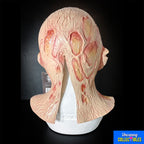 Trick or Treat Studios Nightmare on Elm Street 4 Deluxe Freddy Krueger Mask – Nightmare on Elm Street, Trick or Treat Studios, 35 cm, 2022, brand new collector item, Uncanny Collectibles Dublin Ireland