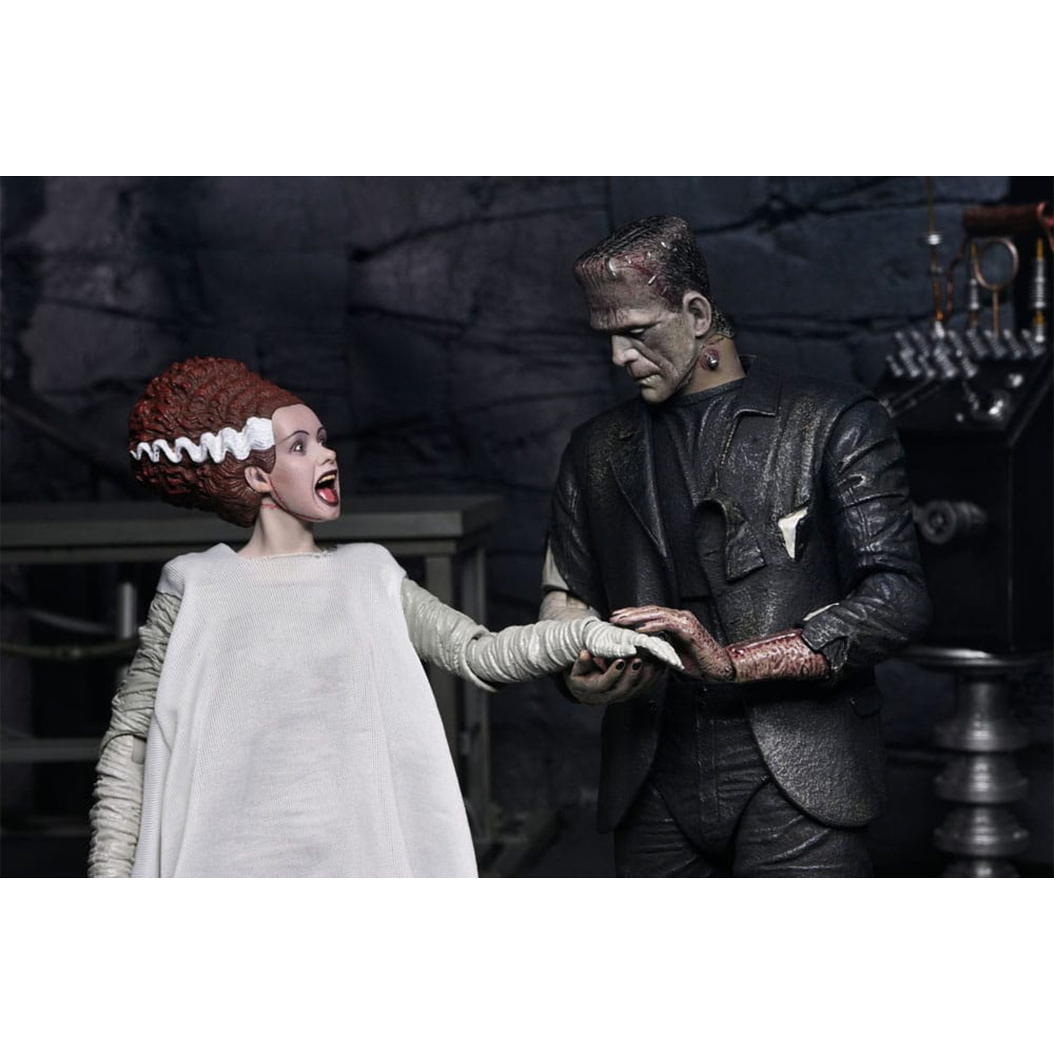 Universal Monsters Bride of Frankenstein 90th NECA 2-Pack Figure Set – photo 10 of 13