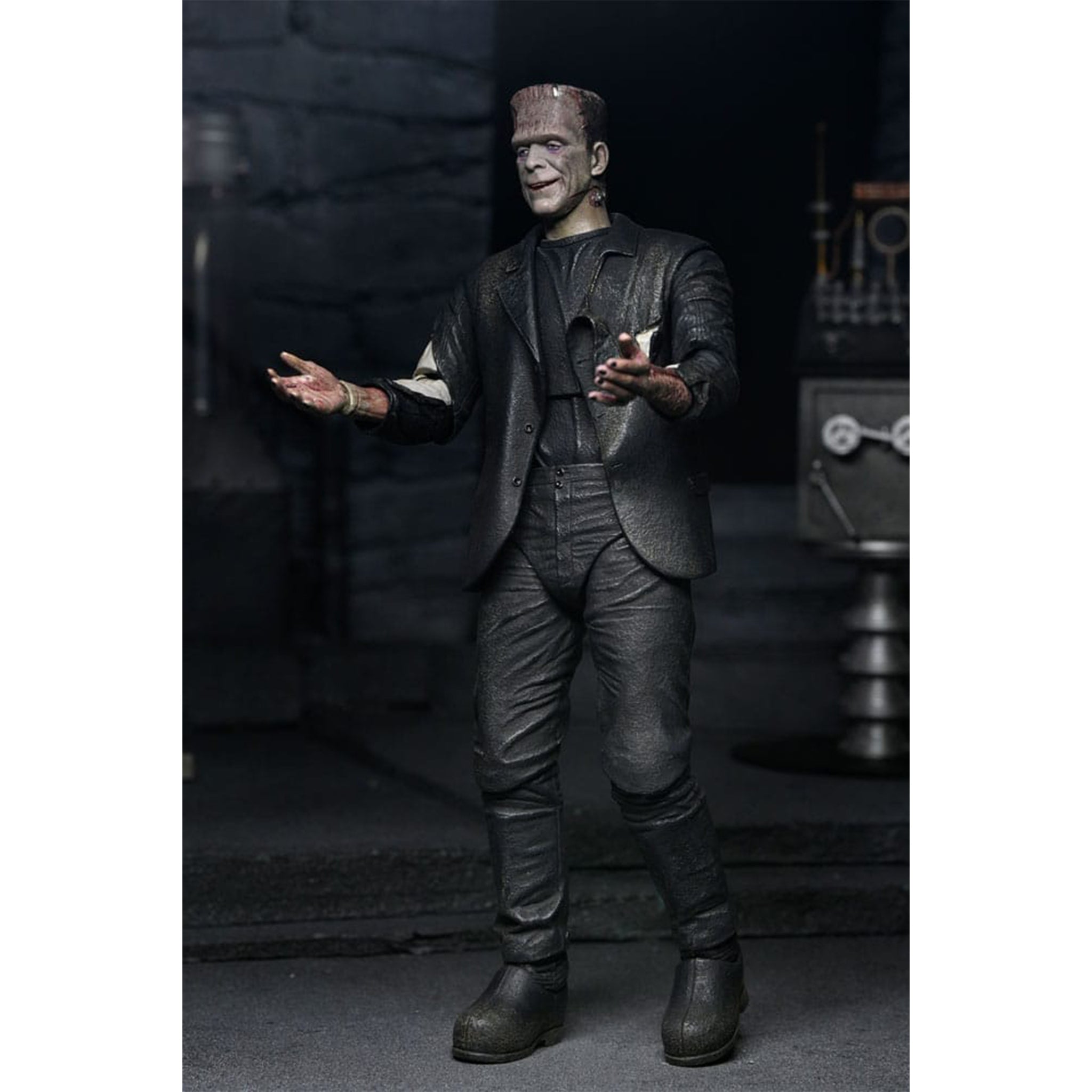 Universal Monsters Bride of Frankenstein 90th NECA 2-Pack Figure Set – photo 13 of 13